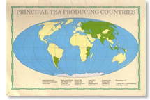 お茶の栽培地域